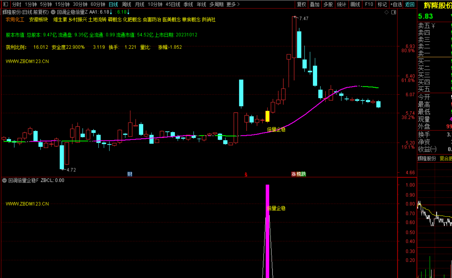 图片[6]-回调倍量企稳：短线暴利抓股秘籍 主图+幅图+选股 无未来函数-指标代码