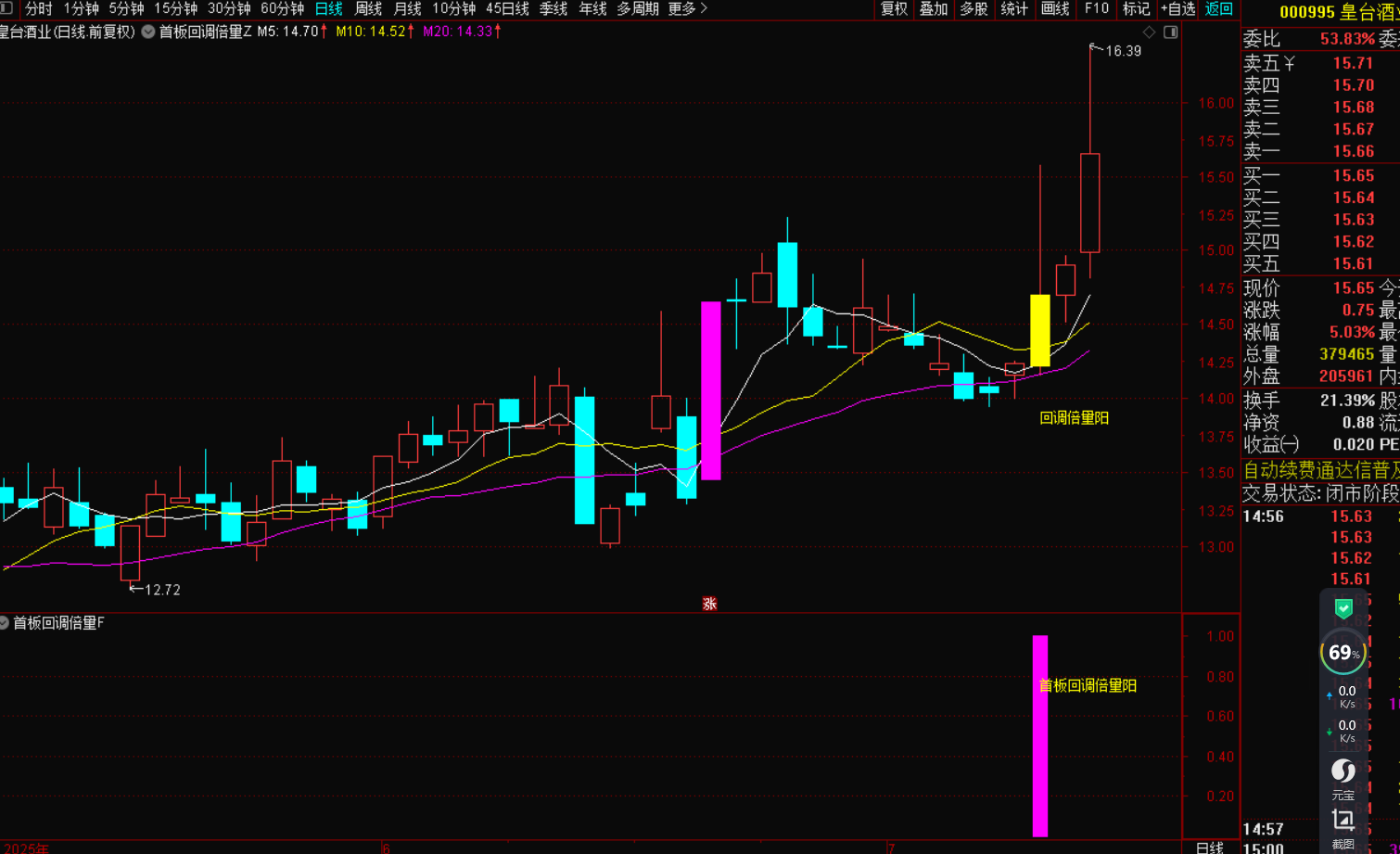 图片[4]-首板回调后的倍量阳：主力资金操盘的明确信号-指标代码