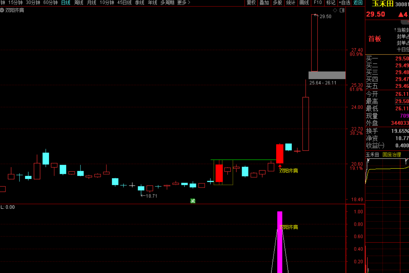 双阳齐肩战法：股市制胜利器-指标代码