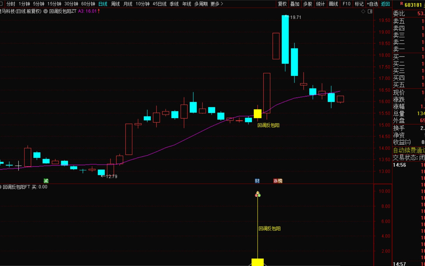 图片[2]-《2025新短线回调反包指标战法》：把握市场脉搏，实现精准狙击-指标代码