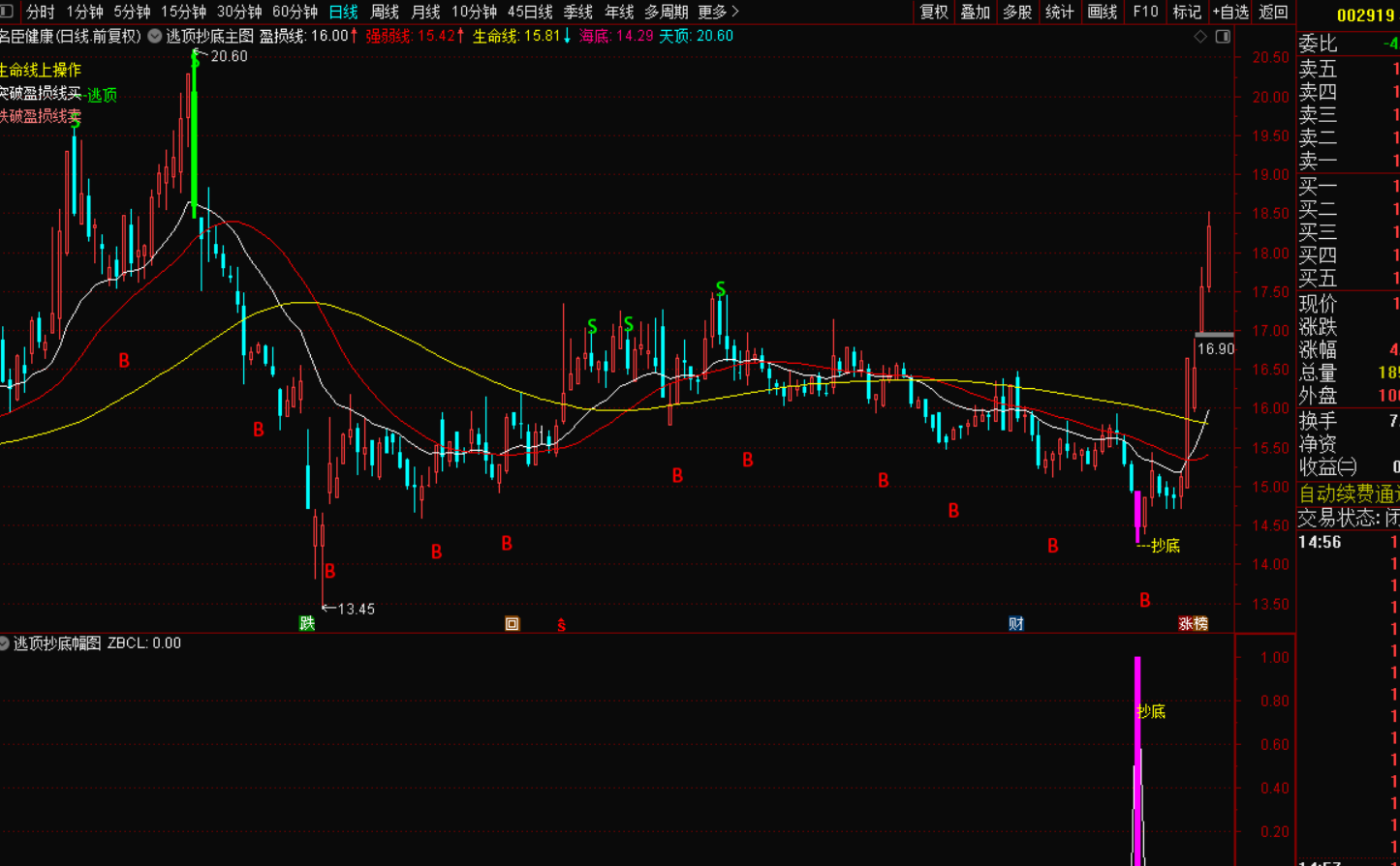 图片[3]-逃顶抄底指标战法：精准捕捉市场转折，实现财富跃迁-指标代码