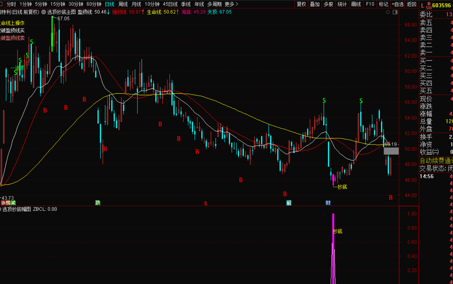 图片[4]-逃顶抄底指标战法：精准捕捉市场转折，实现财富跃迁-指标代码