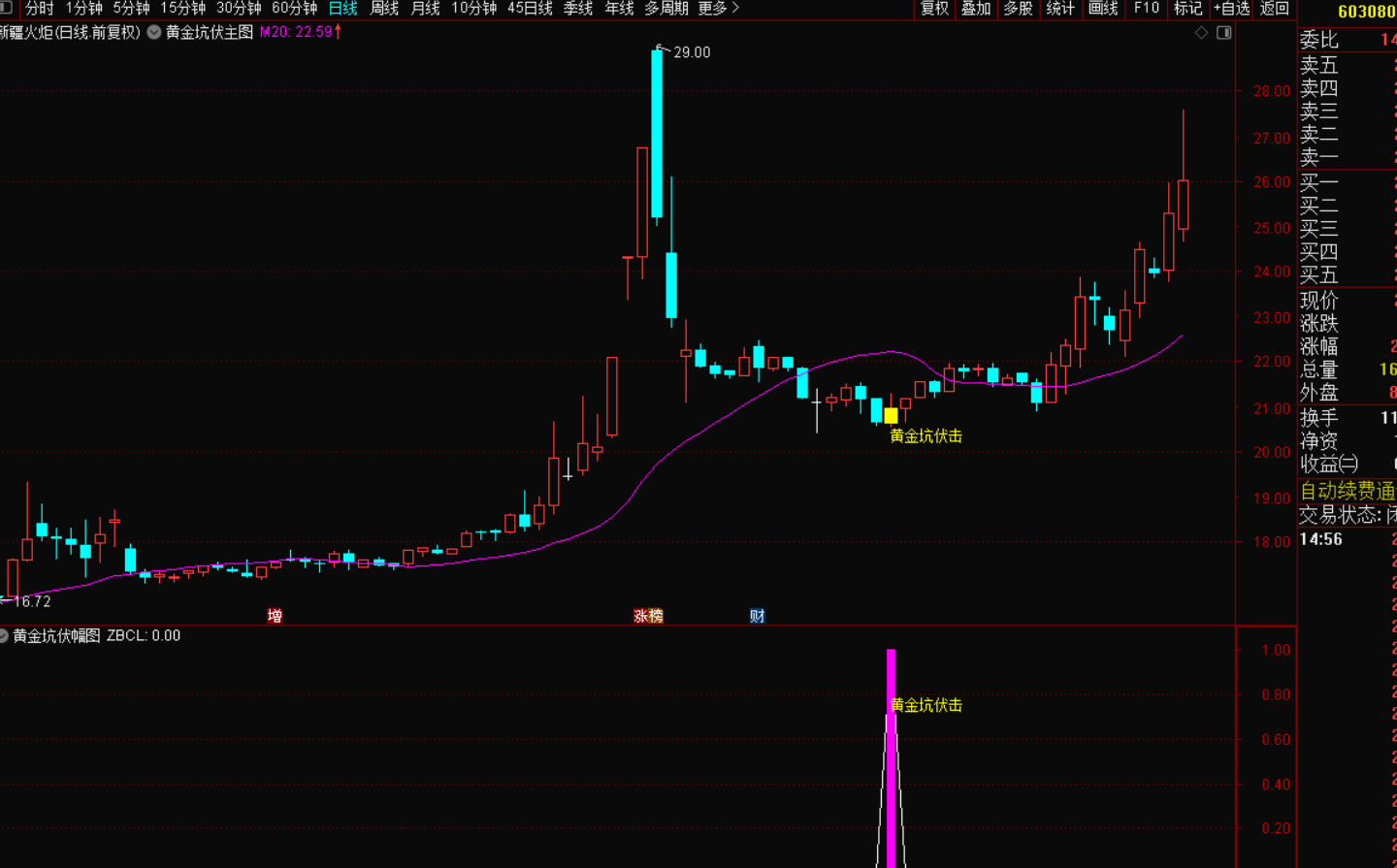 图片[4]-黄金坑伏击指标战法：洞悉主力动向，捕捉逆势机遇-指标代码