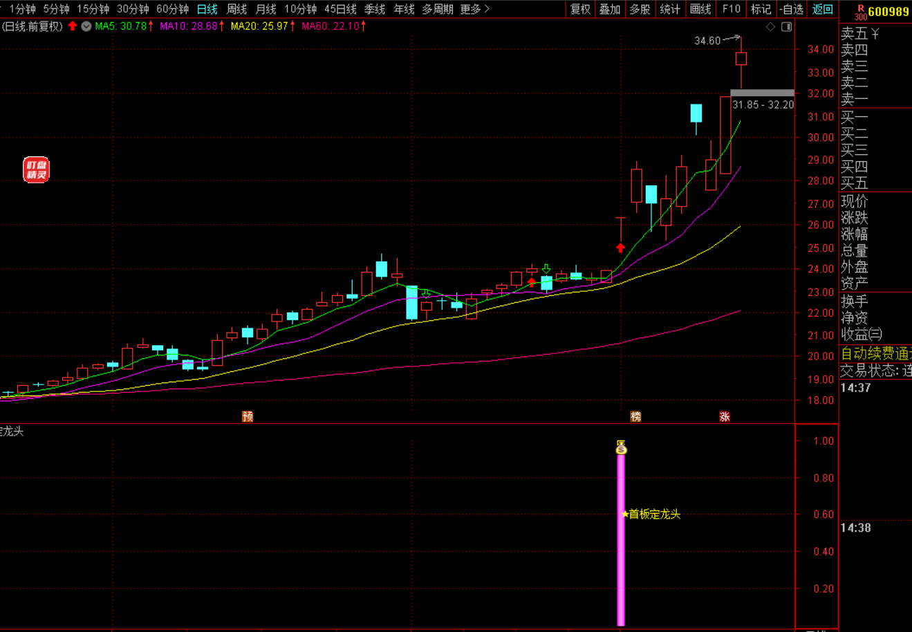 图片[3]-【首板定龙头】低吸战法：抓准首板后2-3天黄金介入点-指标代码