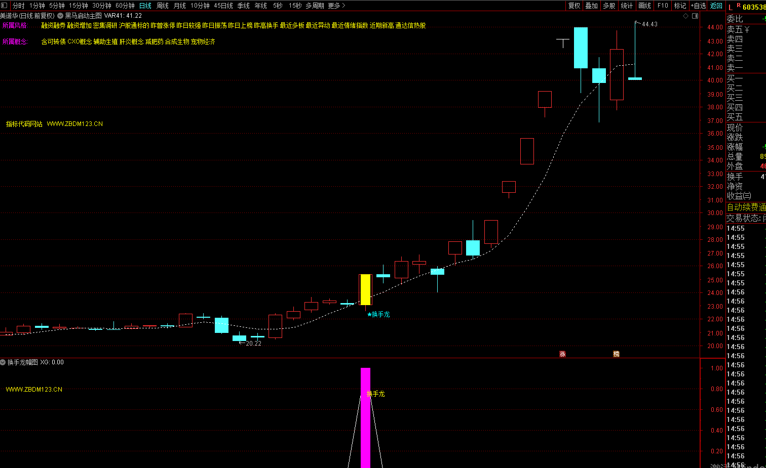 图片[3]-低位换手龙实战战法：精准捕捉短线起爆点，核心操盘逻辑拆解-指标代码
